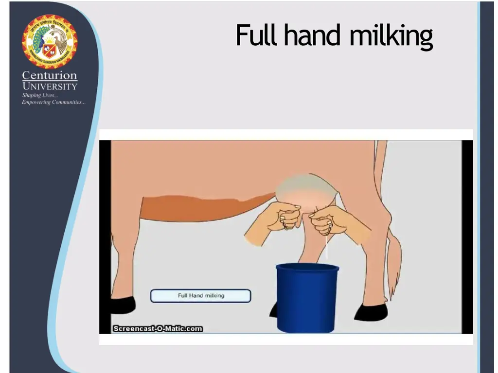 full hand milking 1