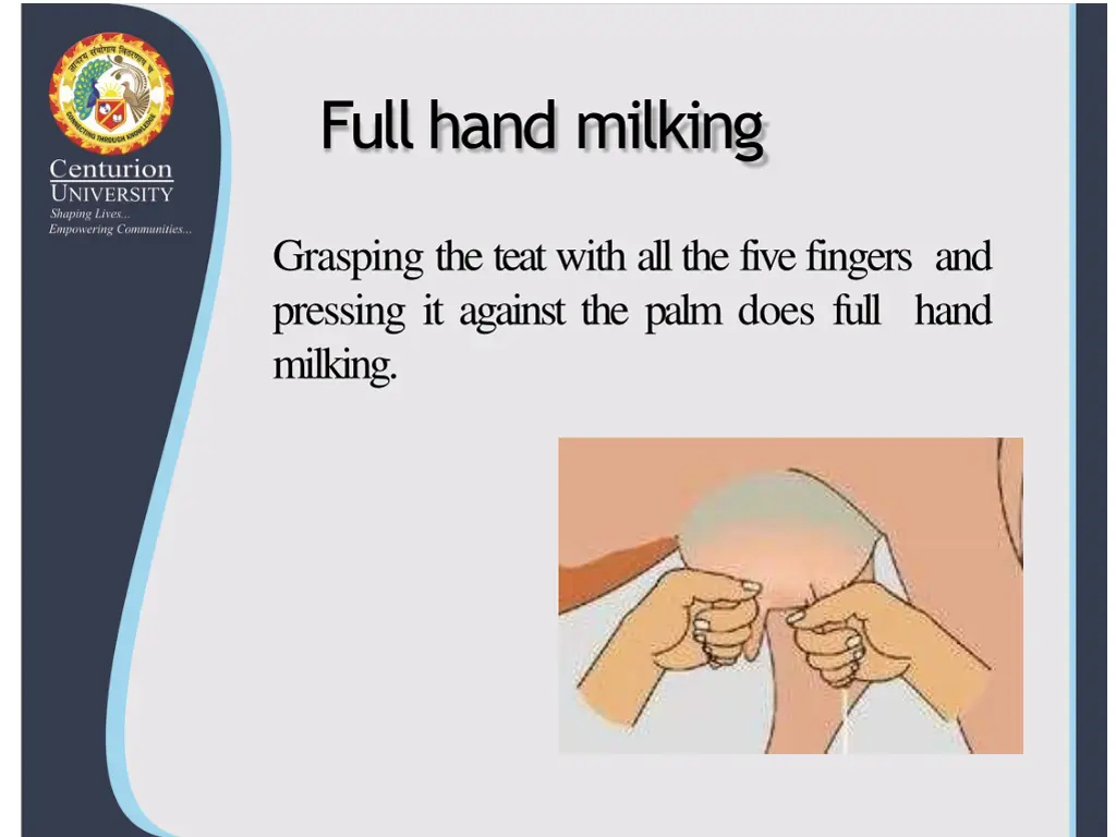full hand milking
