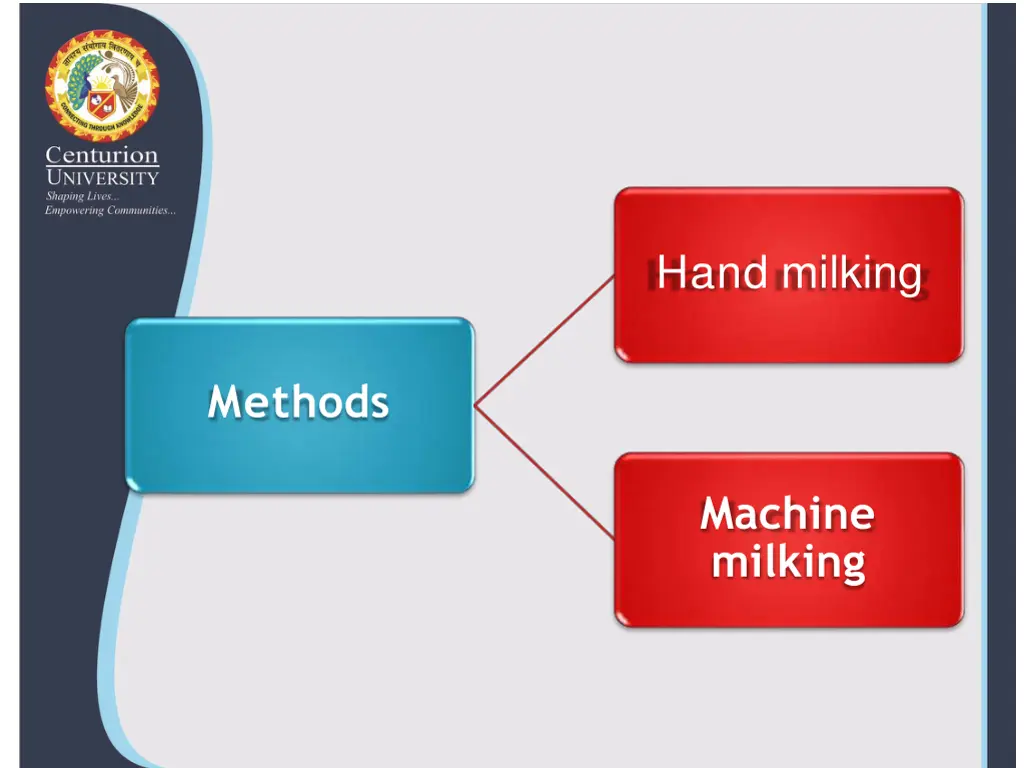 hand milking