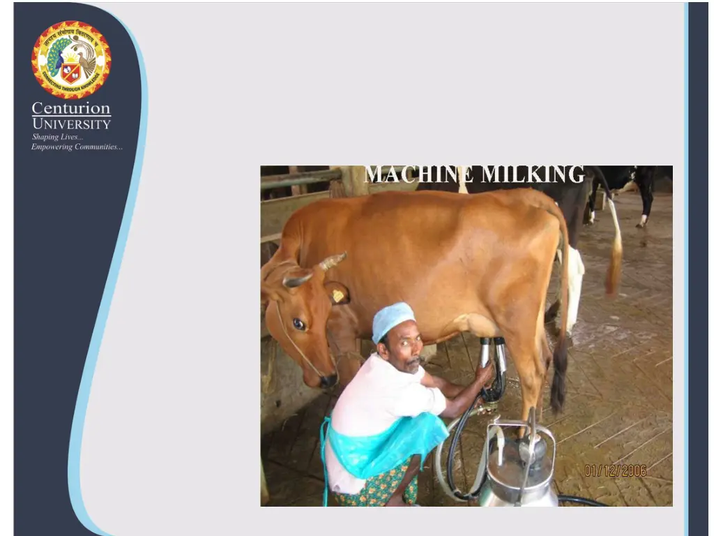 slide19