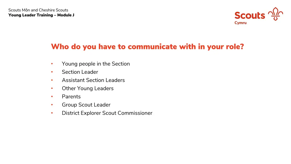 scouts m n and cheshire scouts young leader 10