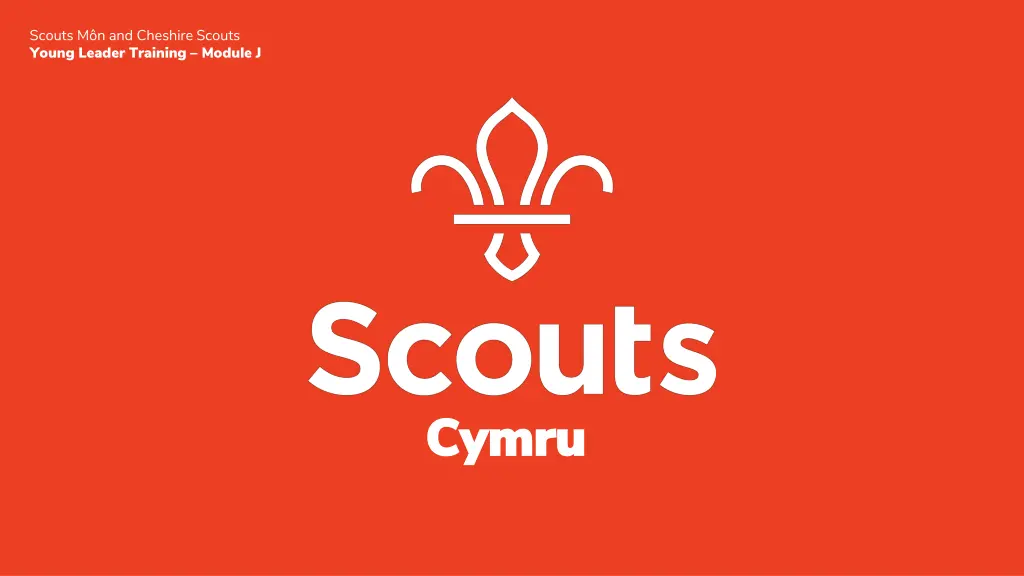 scouts m n and cheshire scouts young leader 16