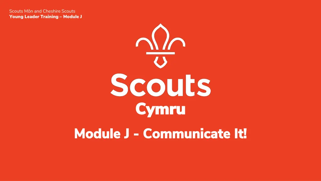 scouts m n and cheshire scouts young leader