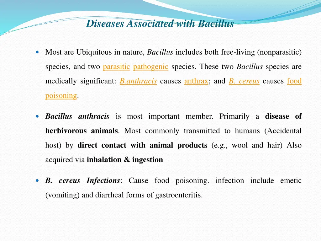 diseases associated with bacillus