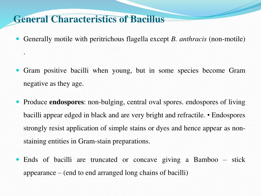 general characteristics of bacillus