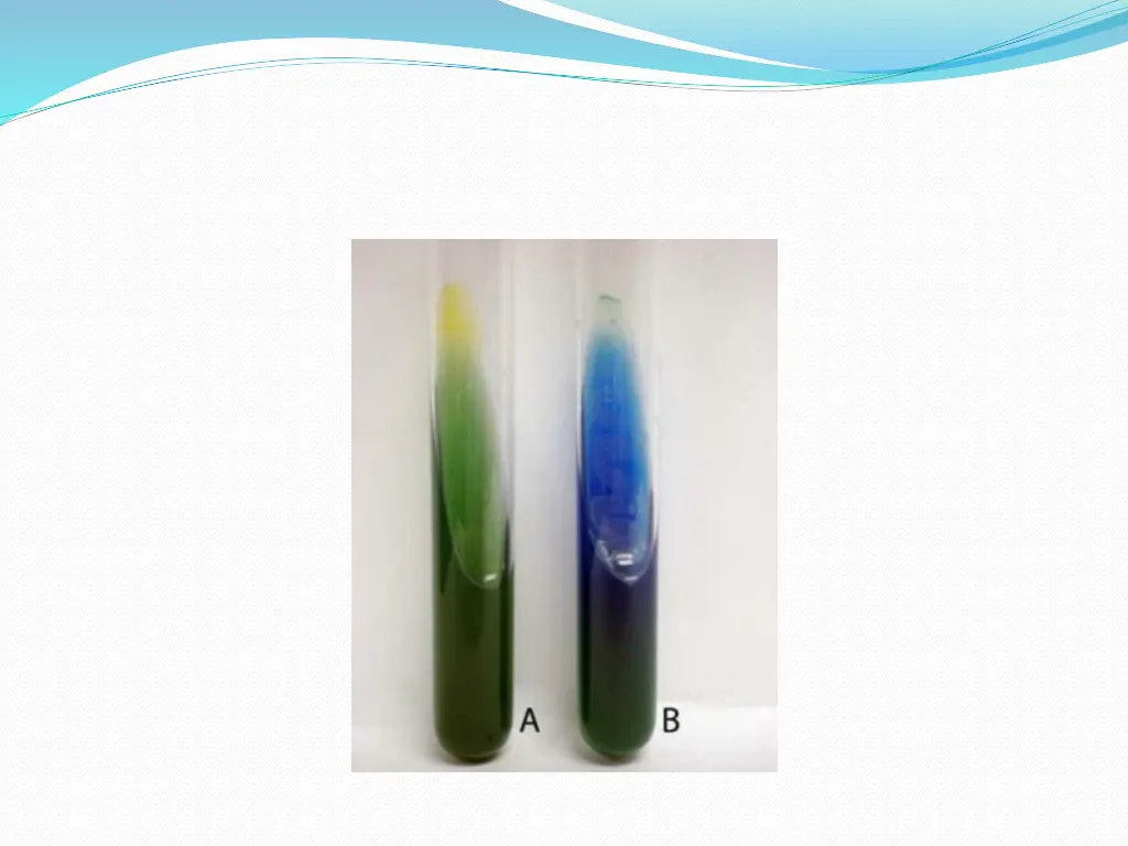 slide14