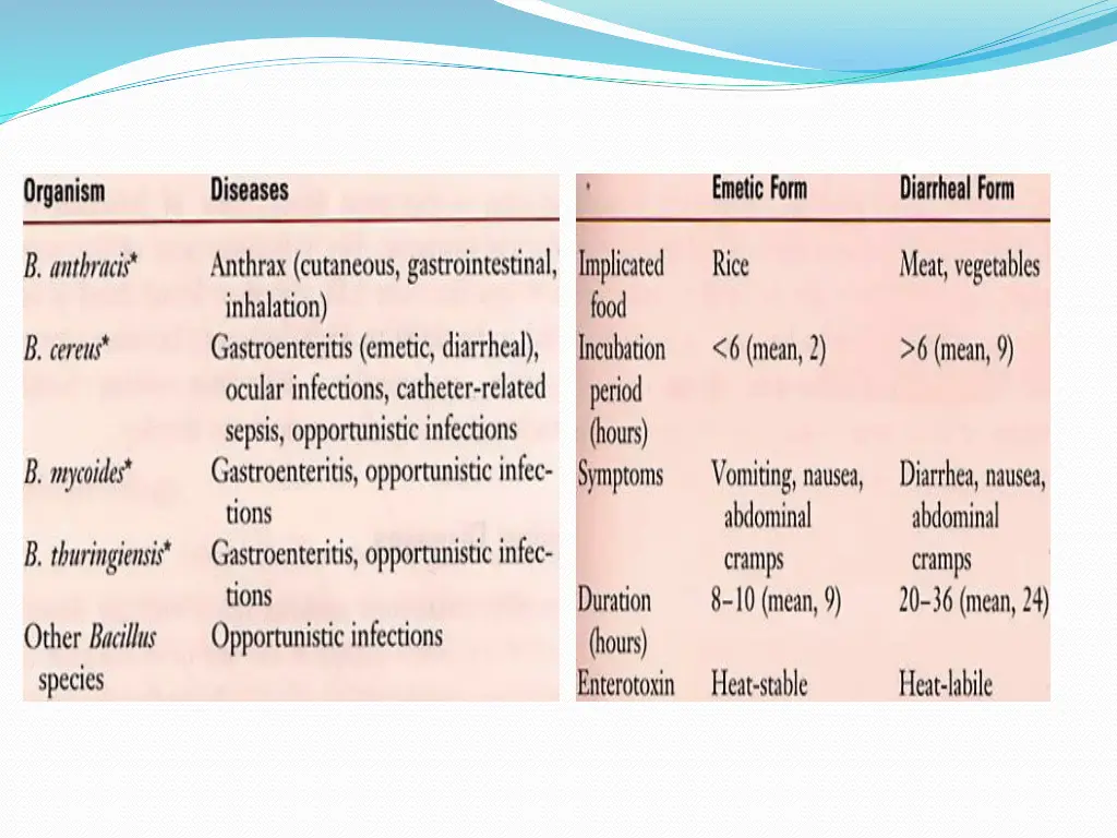 slide8