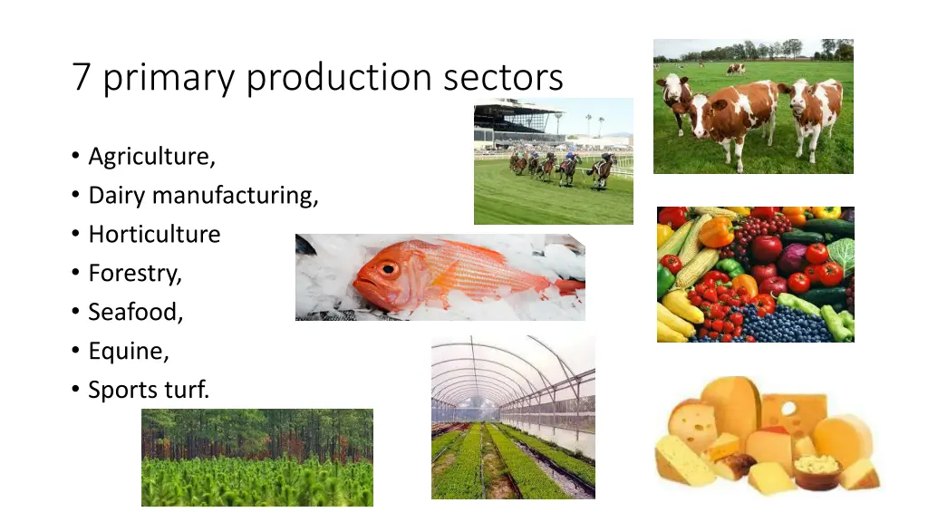 7 primary production sectors