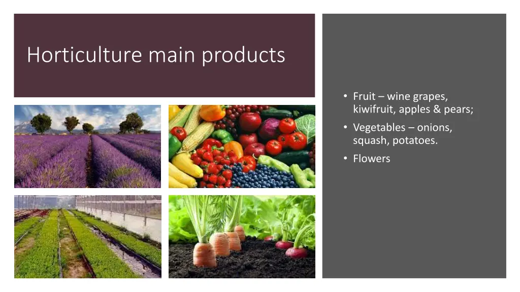 horticulture main products
