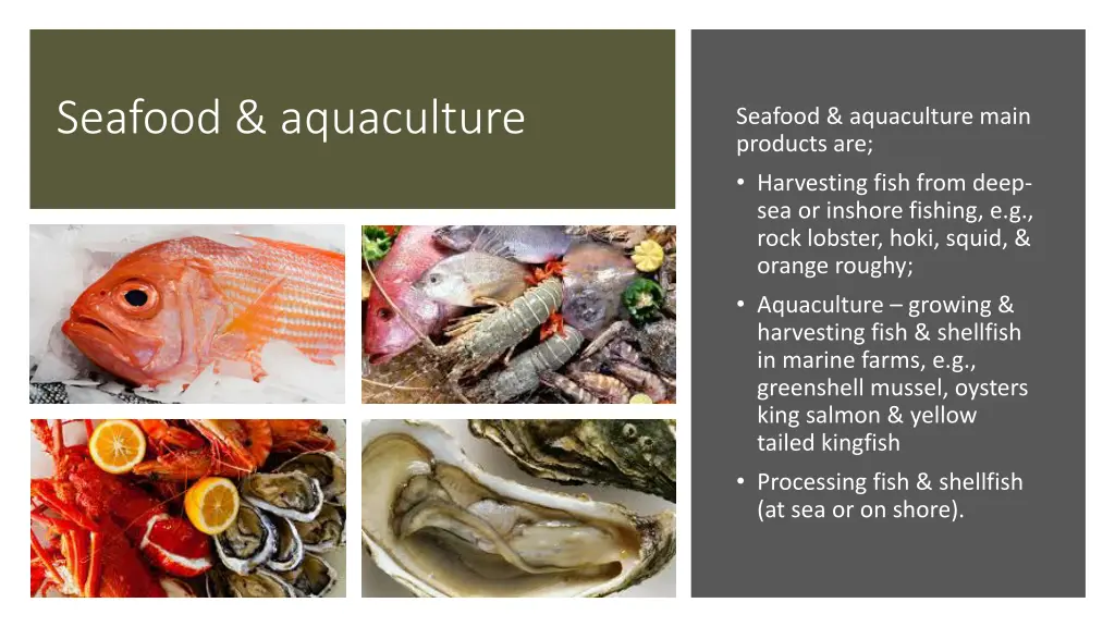 seafood aquaculture