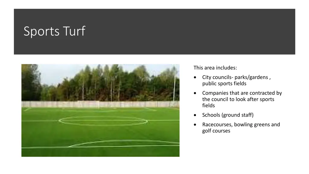 sports turf