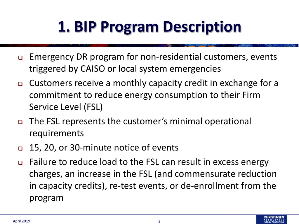 1 bip program description