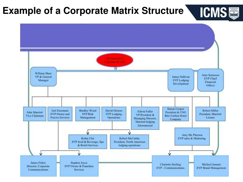 example of a corporate matrix structure