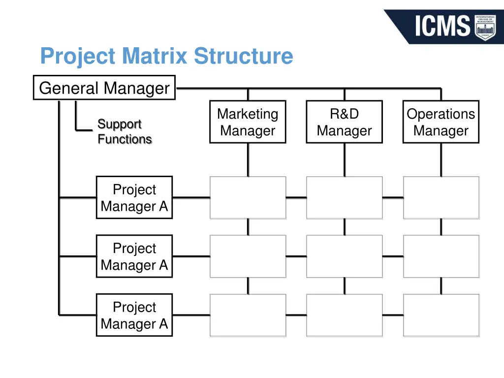 project matrix structure