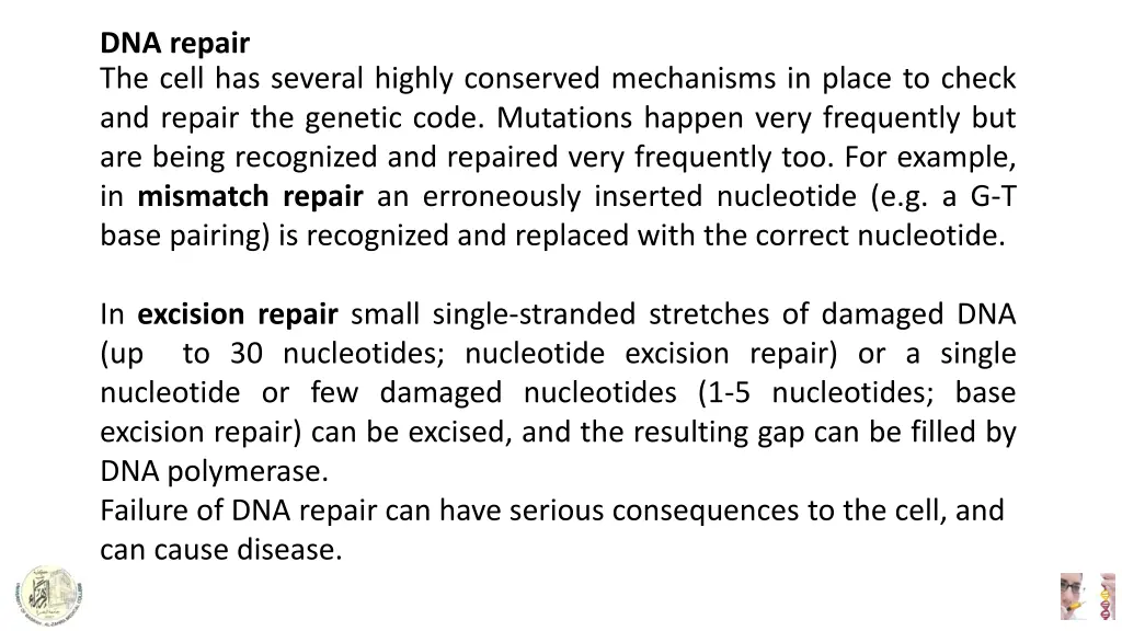 dna repair the cell has several highly conserved