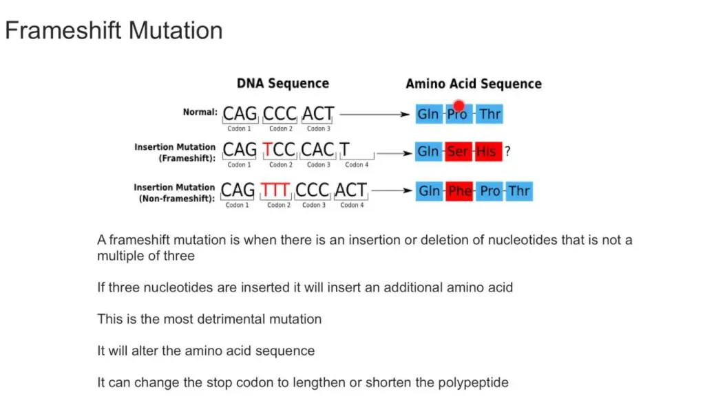 slide11