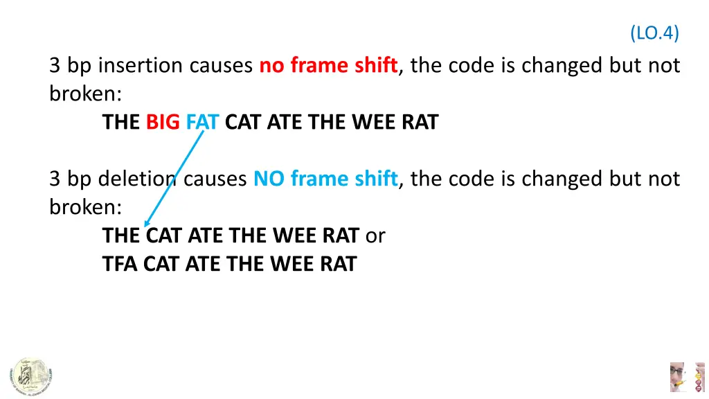 slide13