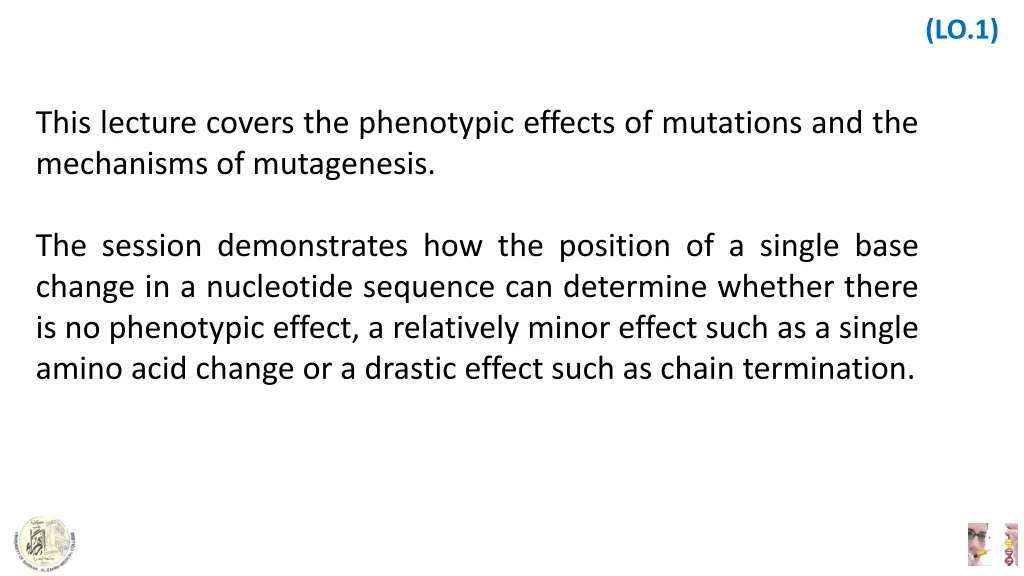 slide3