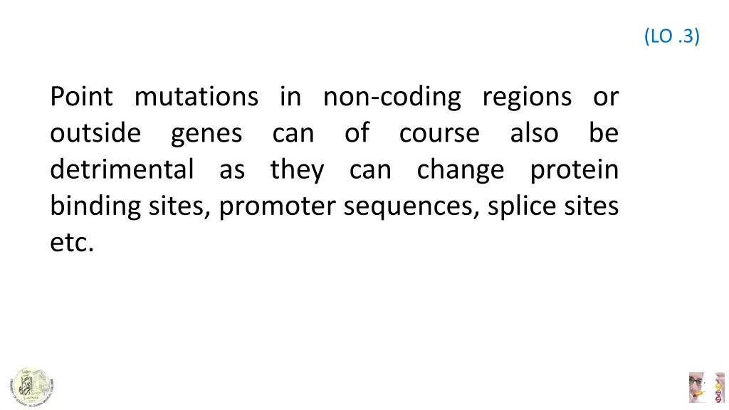 slide7