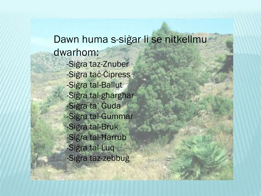 dawn huma s si ar li se nitkellmu dwarhom