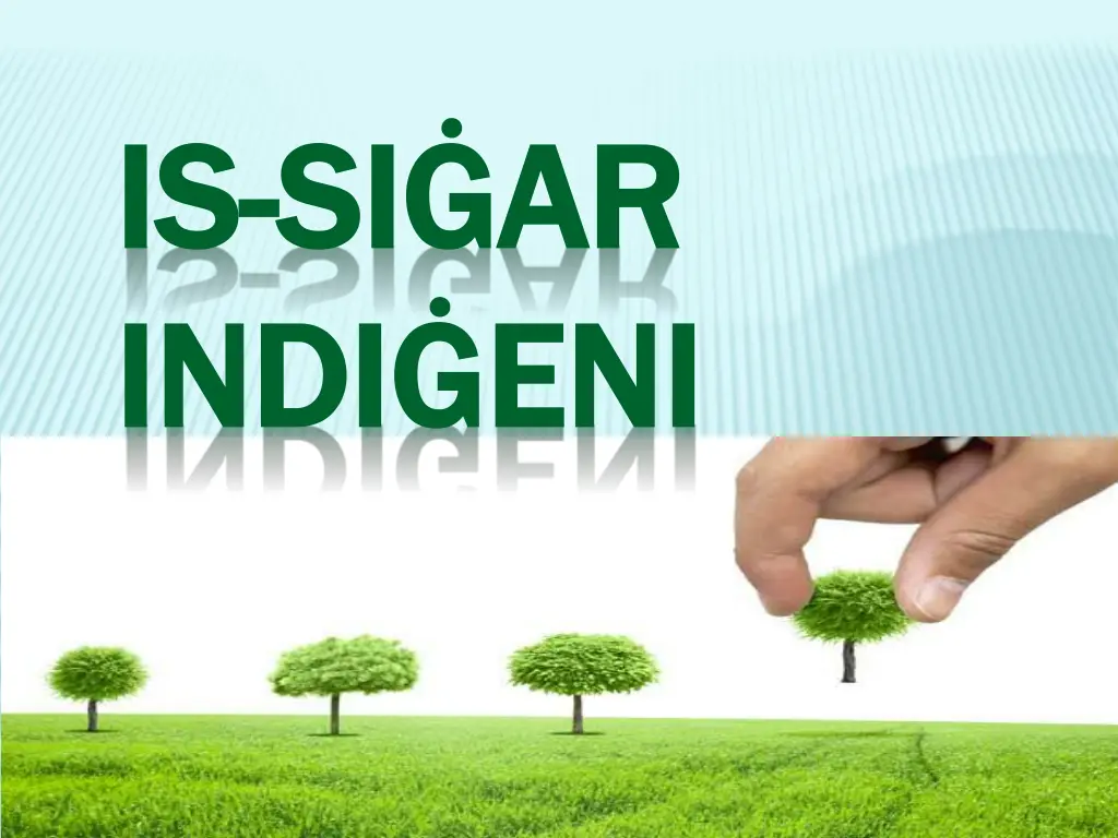 is is si si ar indi indi eni