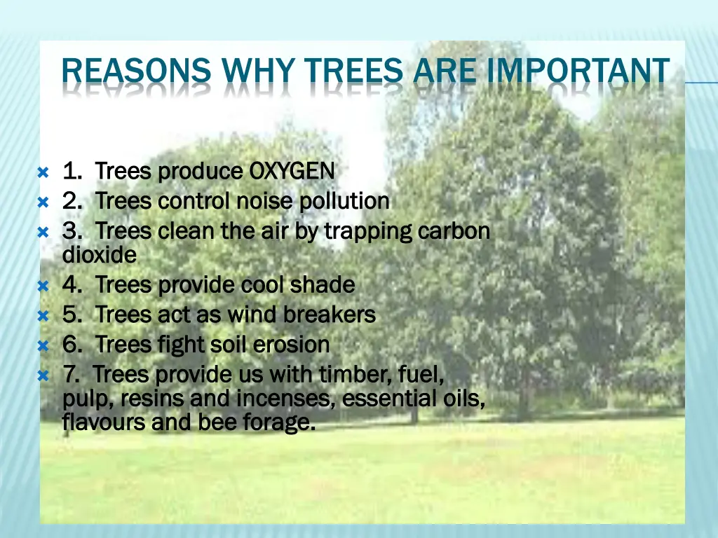 reasons why trees are important