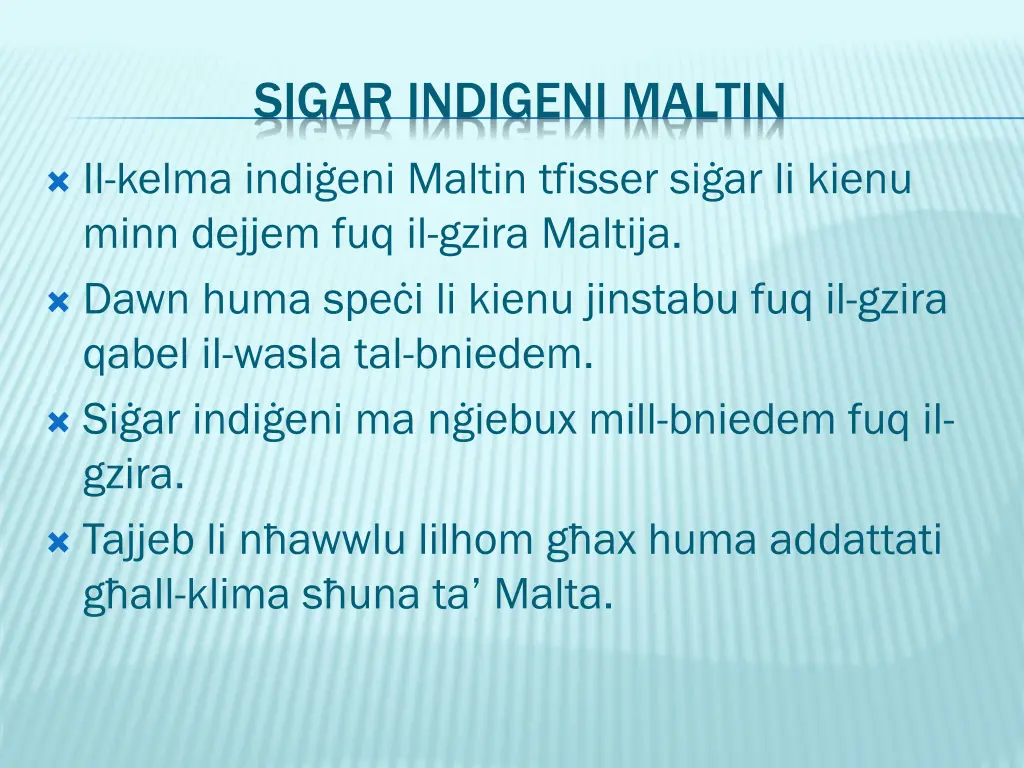 sigar indigeni maltin