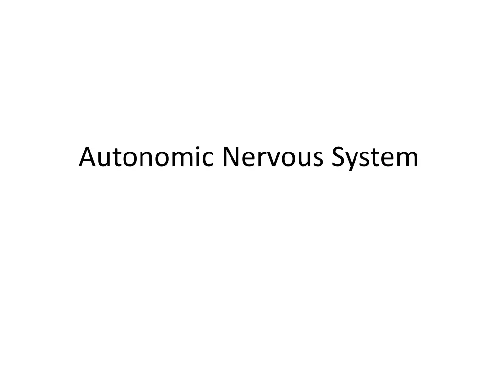 autonomic nervous system