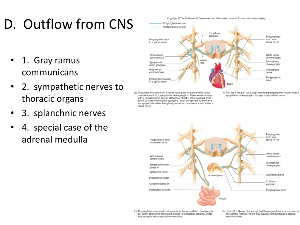 d outflow from cns