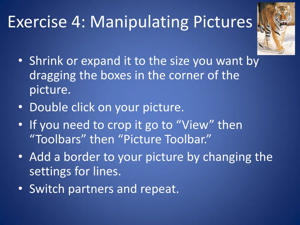 exercise 4 manipulating pictures