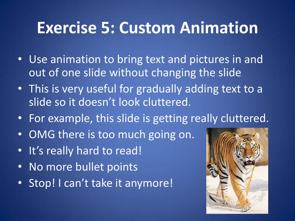 exercise 5 custom animation