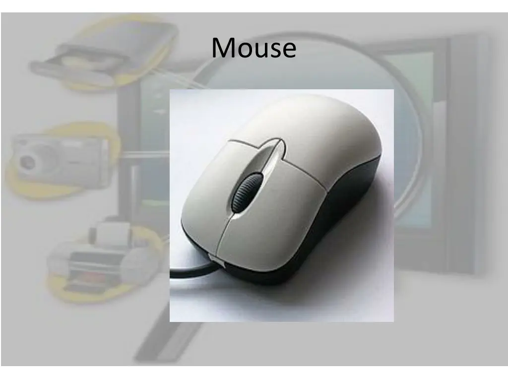 mouse