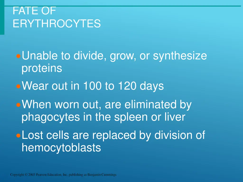 fate of erythrocytes