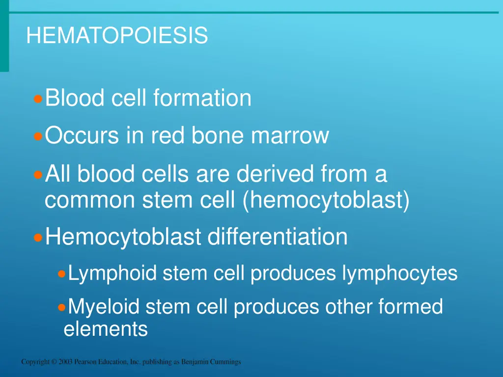 hematopoiesis
