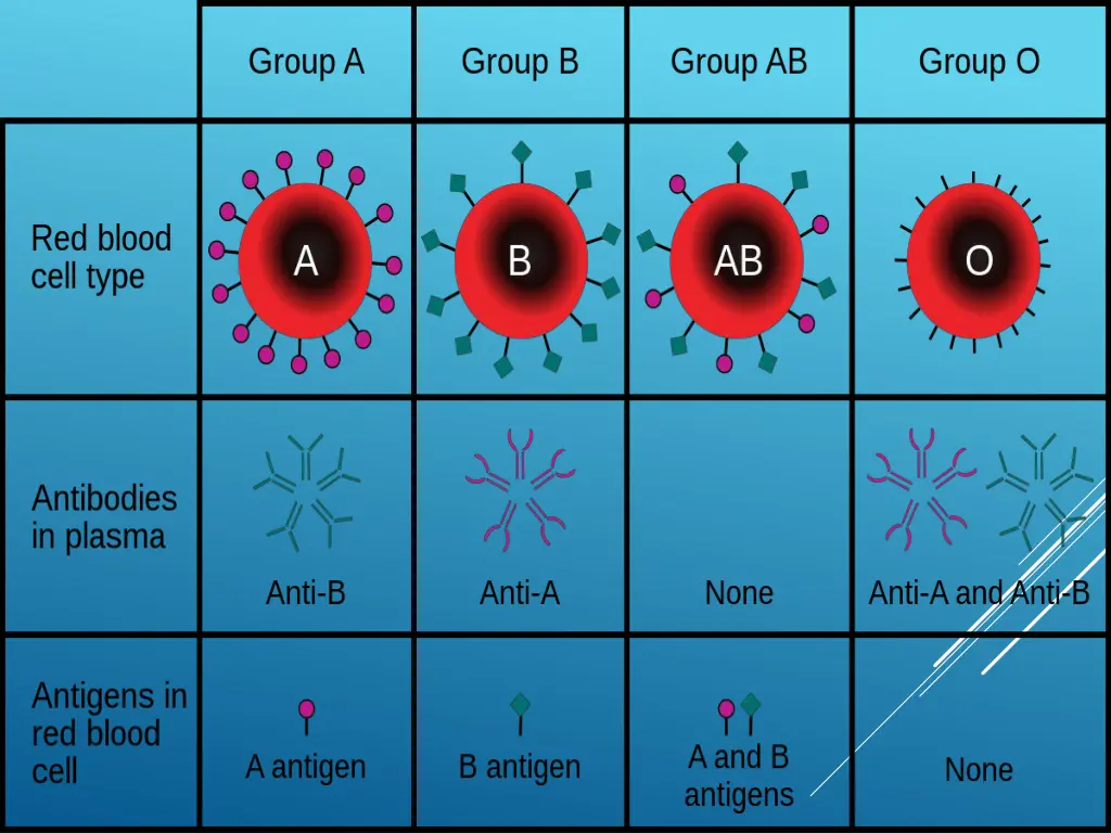 slide27