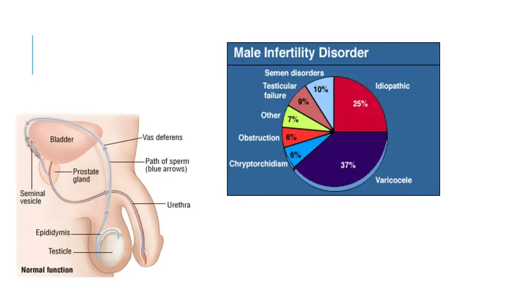 slide16