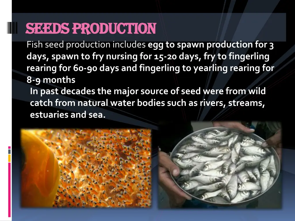 seeds production seeds production