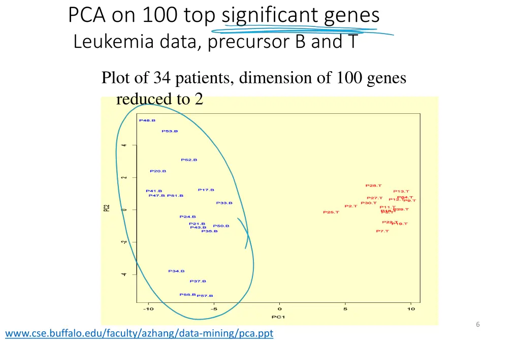 pca on 100 top significant genes leukemia data