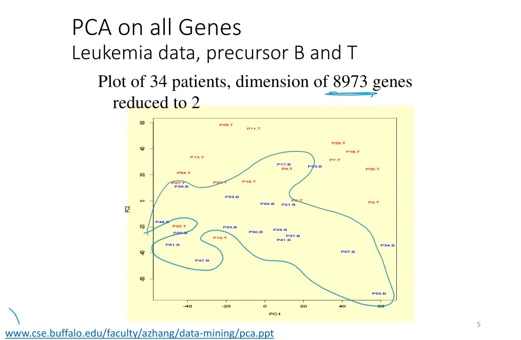 pca on all genes leukemia data precursor