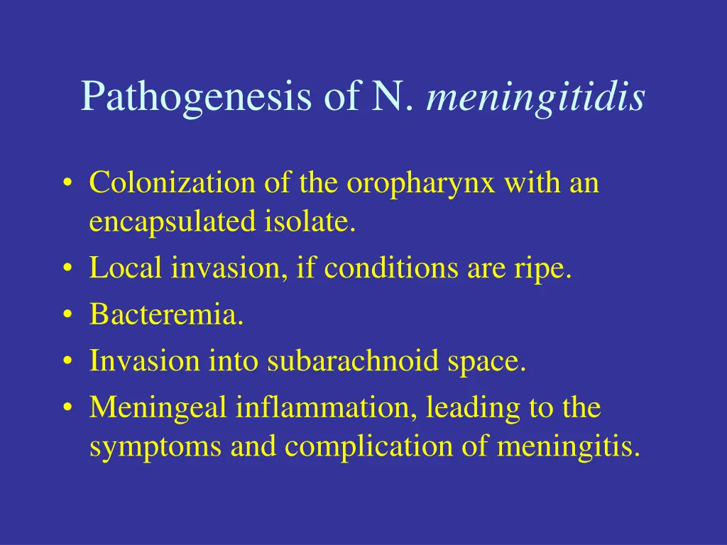 pathogenesis of n meningitidis