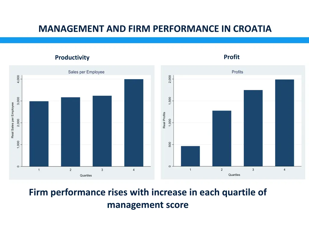 management and firm performance in croatia