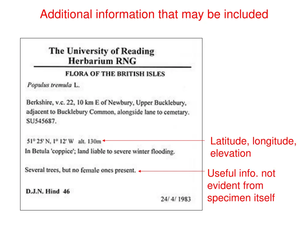 additional information that may be included