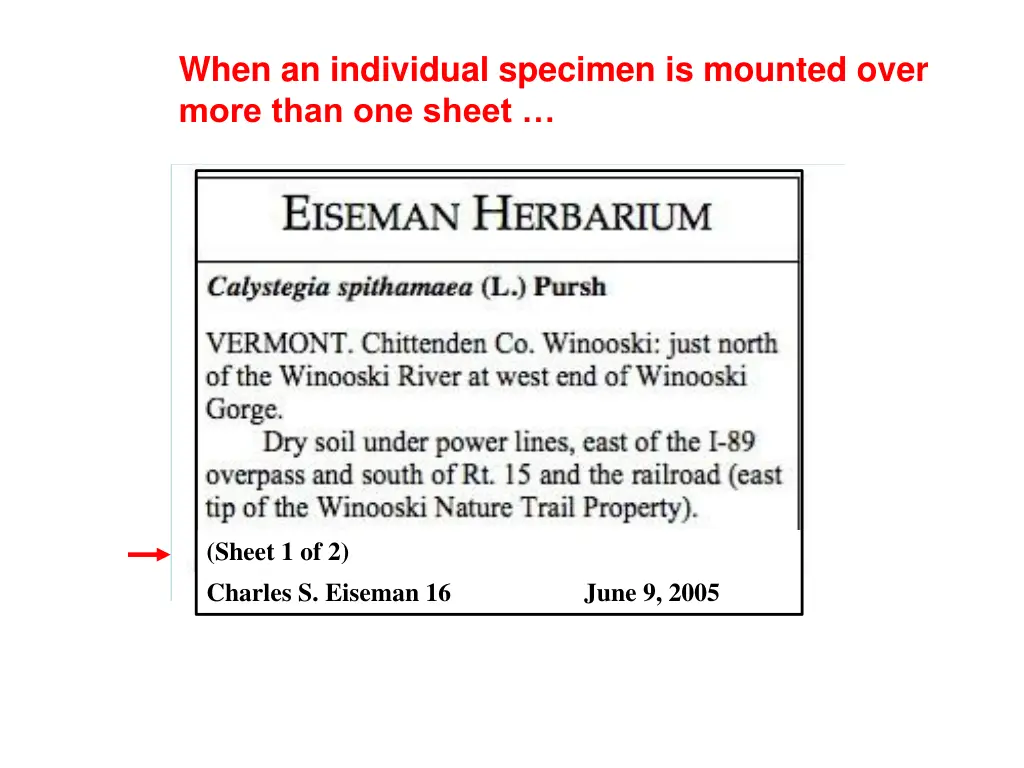 when an individual specimen is mounted over more