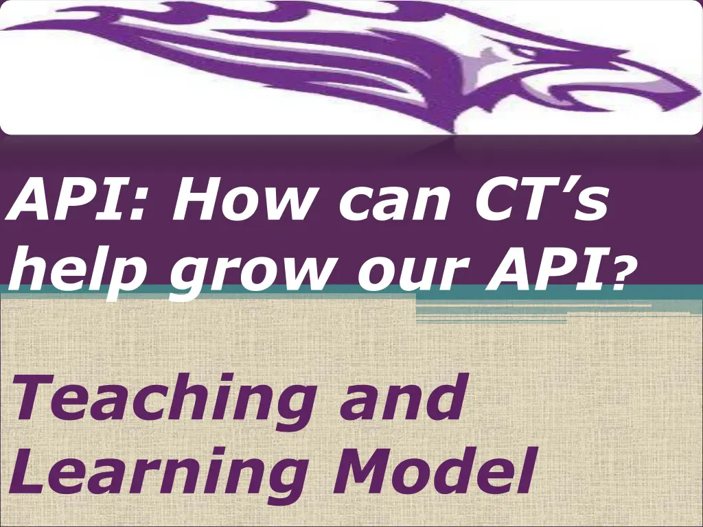 api how can ct s help grow our api