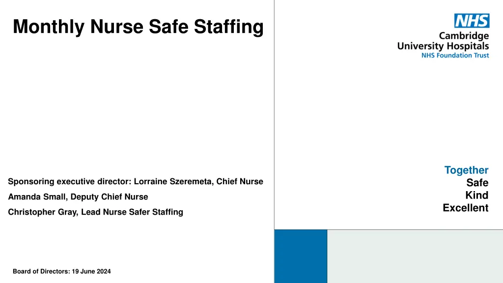 monthly nurse safe staffing