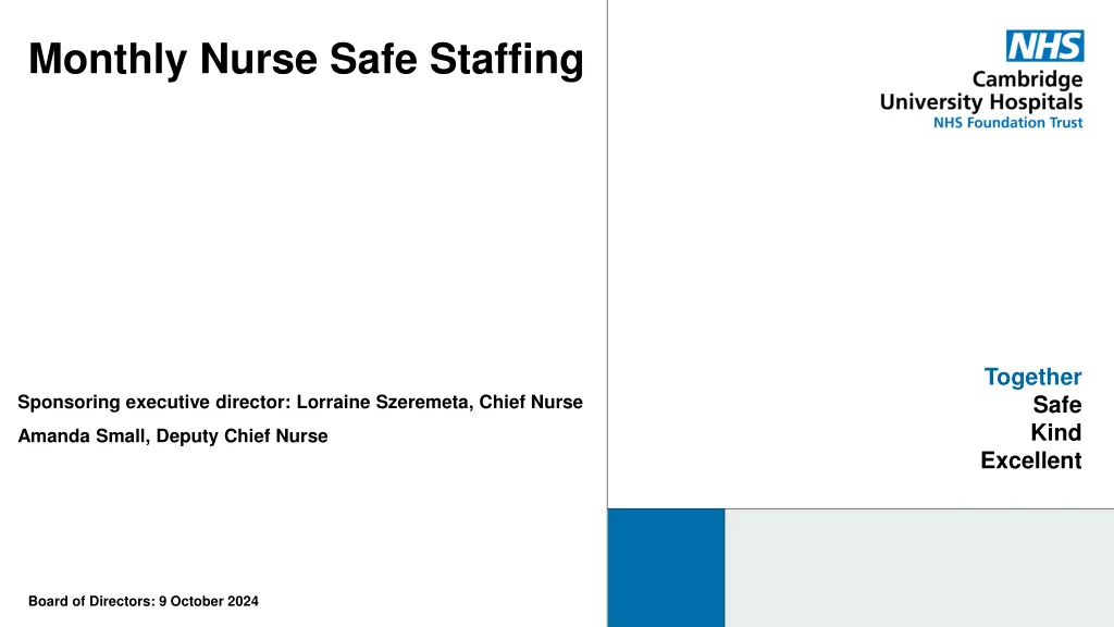 monthly nurse safe staffing