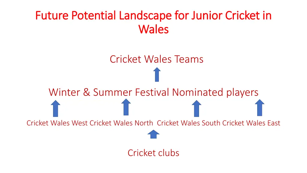 future potential landscape for junior cricket