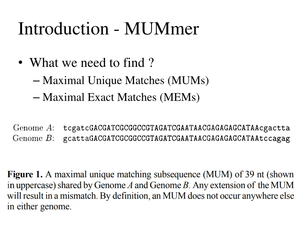 introduction mummer 1