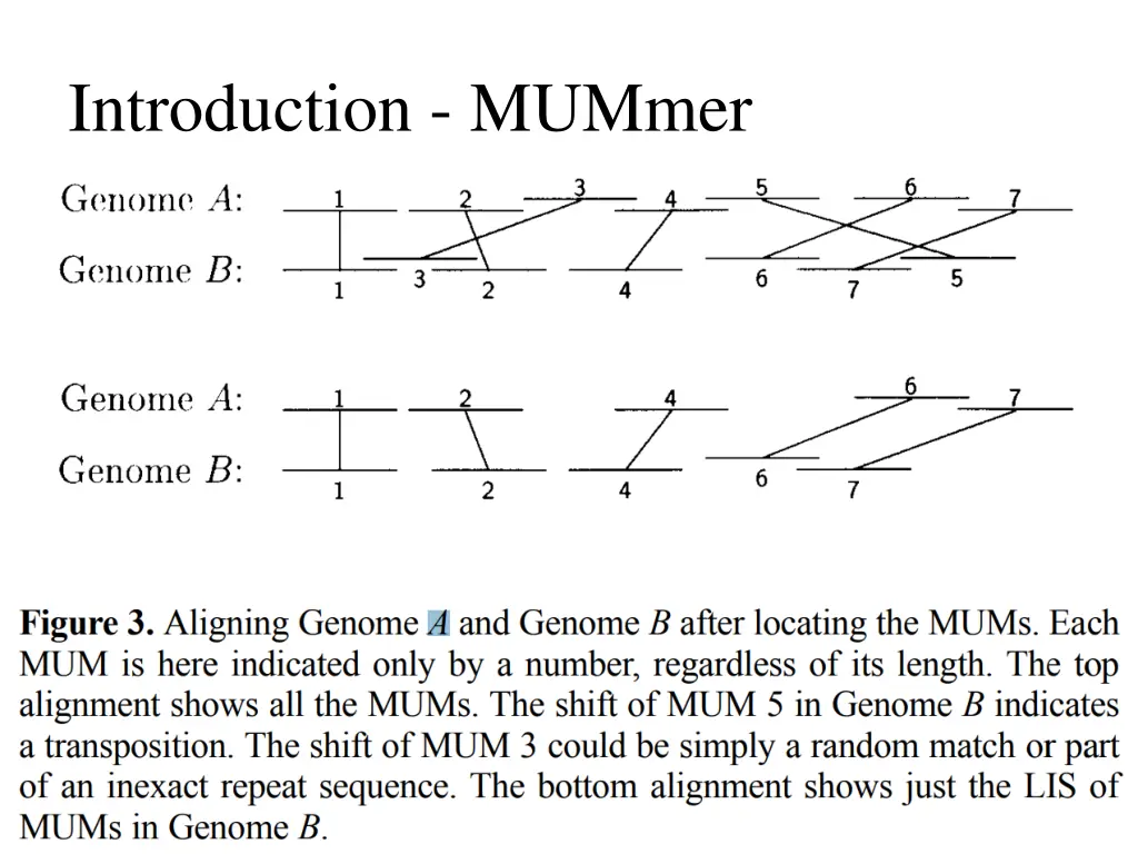 introduction mummer 2
