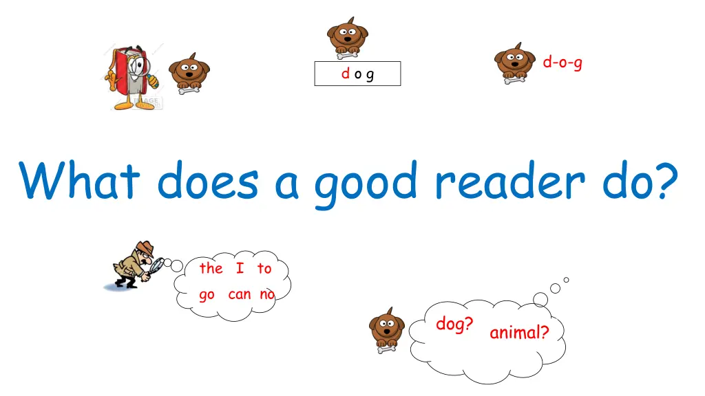 d o g